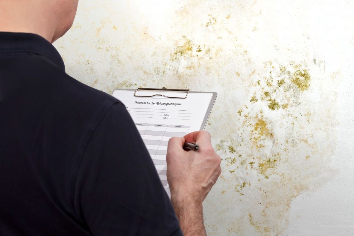 The Crucial Importance of Mold Testing for Your Home