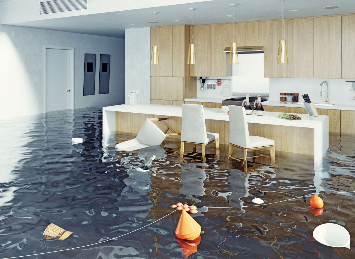 The Shocking Truth About Water Damage Revealed